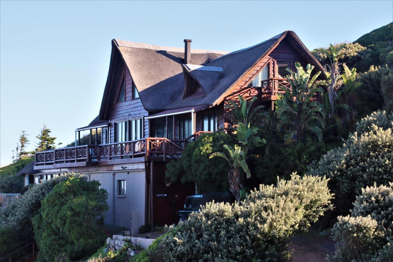 Oyster Bay Beach Lodge Ngoại thất bức ảnh